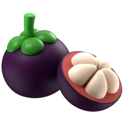 Fresh Mangosteen Fruits